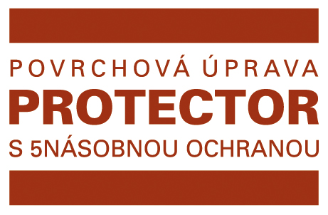 Logo PROTECTOR